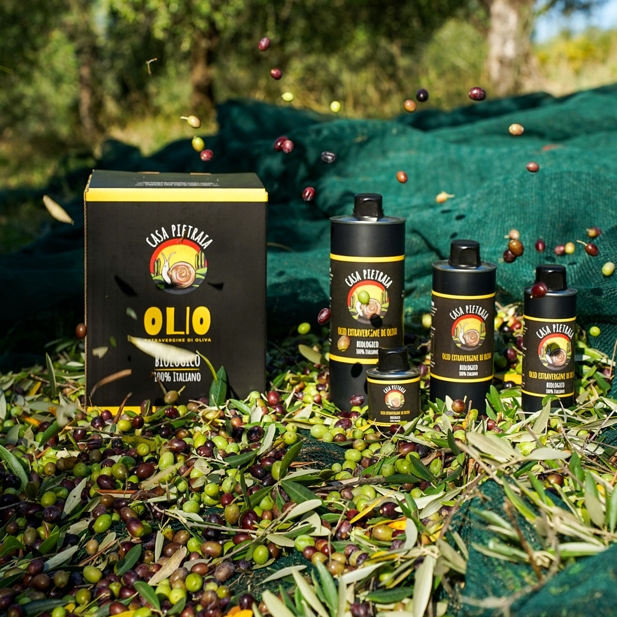 Olio Extra Vergine di Oliva - Autentico Gusto Toscano in Formati Vari